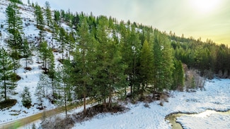 25XX Hall Creek Rd, Inchelium, WA 99138