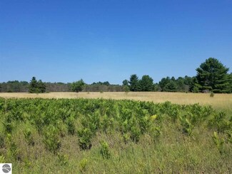 0 N 15 Rd, Mesick, MI 49668