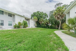 7311 Jackson Springs Rd, Tampa, FL 33634