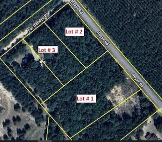 Lots 1,2,3 Royer Rd, Bishopville, SC 29010