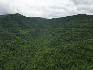 0 Kentucky 38, Evarts, KY 40828