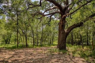 10314 County Road 276, Somerville, TX 77879