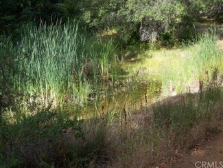 2507 Clover Valley Rd, Upper Lake, CA 95485