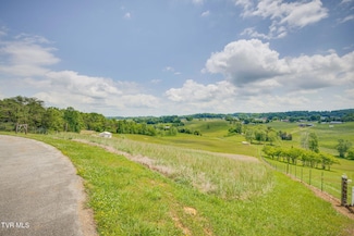 Tbd Tranquil Ct, Jonesborough, TN 37659
