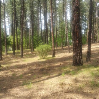 XX Josephine Rd S, Kettle Falls, WA 99141