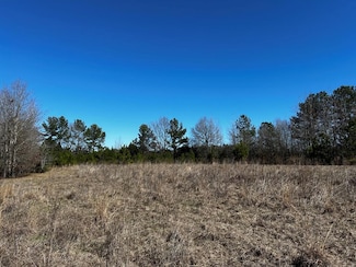 R14353 Cr 167, Longbranch, TX 75669