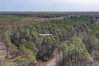 5424 Prosperity Ln, Castle Hayne, NC 28429