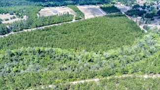 XX1 Turkey Creek Rd, Bristol, FL 32321
