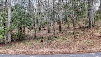 LOT 14 Fiddlers Cove, Blairsville, GA 30512