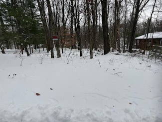 9861 E School Section Lake Dr, Morton Township, MI 49332