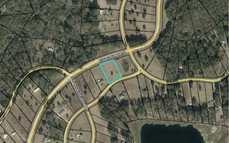 TBD NW Live Oak Cir, Jennings, FL 32053