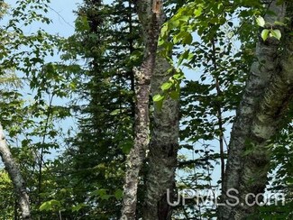 TBD 5 Mile Point Rd Unit Lot 15 of Kidder & R, Eagle River, MI 49950