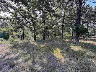 305,307 & 309 Ruby Ln, Horseshoe Bend, AR 72512