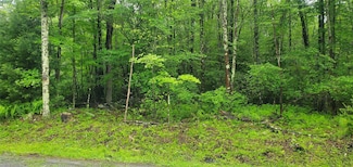 tr 105 Cypert Rd, Fallsburg, NY 12788