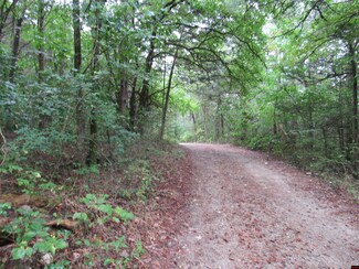 0 Forsyth Ave Unit 129792, Pyatt, AR 72672