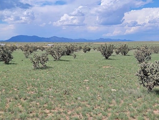 315 Thompson Rd, Edgewood, NM 87015