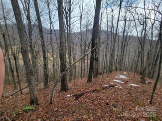 820 Chestnut Flats Rd Unit 4, Waynesville, NC 28786