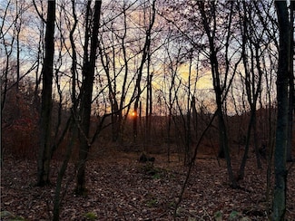 0 Rustic Ridge Rd, Champion, PA 15622