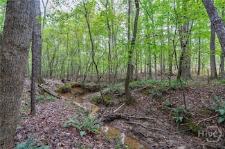 0 Lower Wirebridge Rd, Maxeys, GA 30667