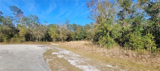 0 Golf Hammock Rd Unit 312113, Wauchula, FL 33873
