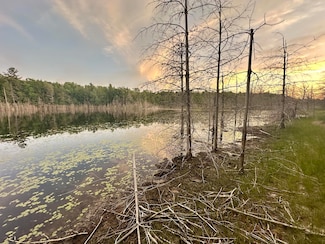000 Co Rd 455 Deadman Lake, McMillan, MI 49853