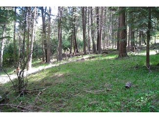 0 Tram Ln Unit 22002920, Wallowa Lake, OR 97846