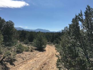 Tract B Spanish Peaks Rd, Arroyo Hondo, NM 87513