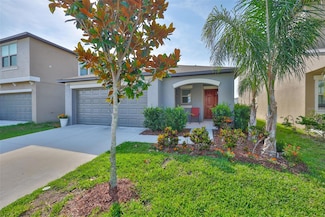 9423 Lemon Drop Loop, Ruskin, FL 33573