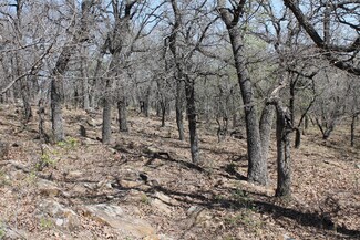 Lot 142 Cote d Azur, Chico, TX 76431