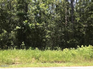 0 Wilson Springs Rd Unit 3376362, Escatawpa, MS 39563