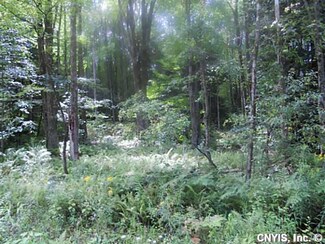 lot 13 Dutcherville Rd, Constantia, NY 13044