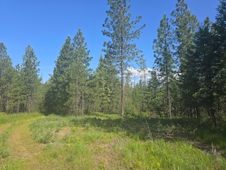 3418 Kingsbury Lake Way, Kettle Falls, WA 99141