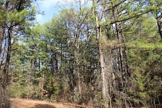 001-04155-000 Marion County 6011, Yellville, AR 72687