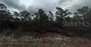448 Quail Ave, Sebring, FL 33870