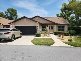 2673 Blue Ridge Cir, Spring Hill, FL 34606