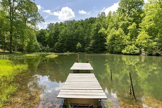 320 Dyestone Springs Rd, Hohenwald, TN 38462