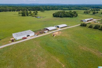 1498 Sun Valley Rd, Harpersville, AL 35078