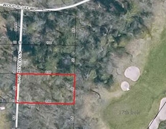 38 Spruceview Ln, MacKinac Island, MI 49757