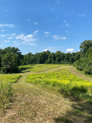 V/L Rumsey Rd, Three Rivers, MI 49093