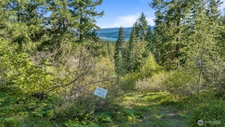 30 Newport Creek Loop, Ronald, WA 98940