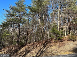 Lot 222 Beaver Ln, Mount Jackson, VA 22842