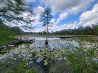 1989 Juniper Lake Rd, Defuniak Springs, FL 32433
