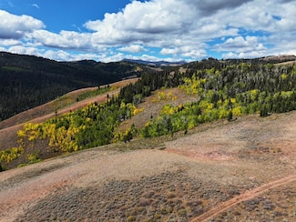 0 Tbd Unit 11605663, Big Piney, WY 83113