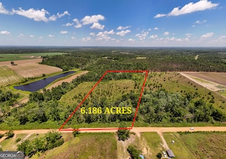 LOT #2 - 6.2 AC Perry Horton Rd, Adrian, GA 31002