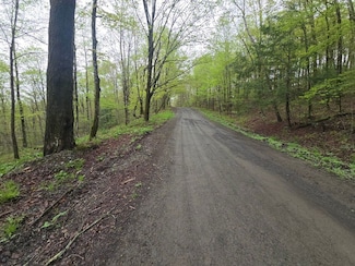 0WP Greenbush Rd Unit LotWP001, Westford, NY 13488