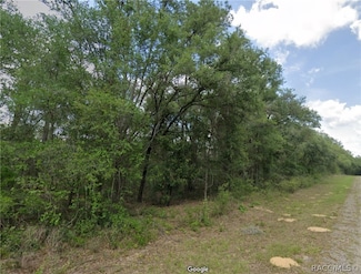 737 E Byrd Loop, Citrus Springs, FL 34434