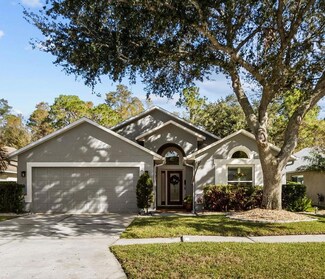 12531 Sparkleberry Rd, Tampa, FL 33626
