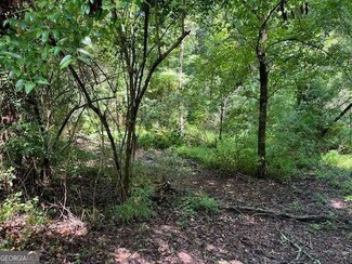127 S Ole Hickory Trail, Carrollton, GA 30117