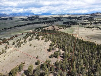 0 Galahad Way Unit 7483790, Hartsel, CO 80449