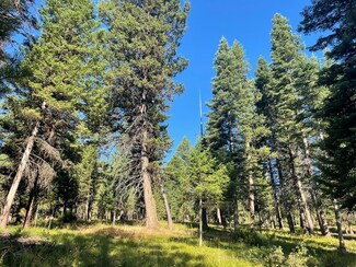 TBD Crowley Ln, McCall, ID 83638